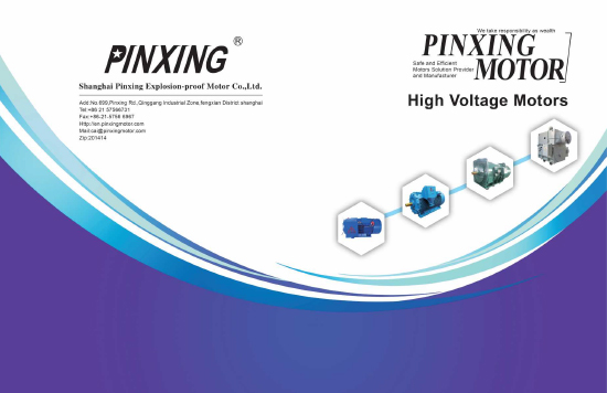 Danh mục động cơ điện áp cao