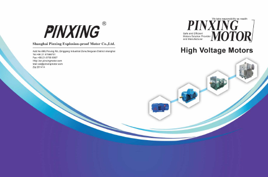 Công ty TNHH Thượng Hải Pinxing, Ltd.